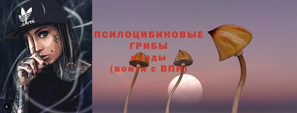 apvp Сосновоборск